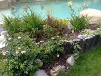 Entretien de jardin à Rambouillet