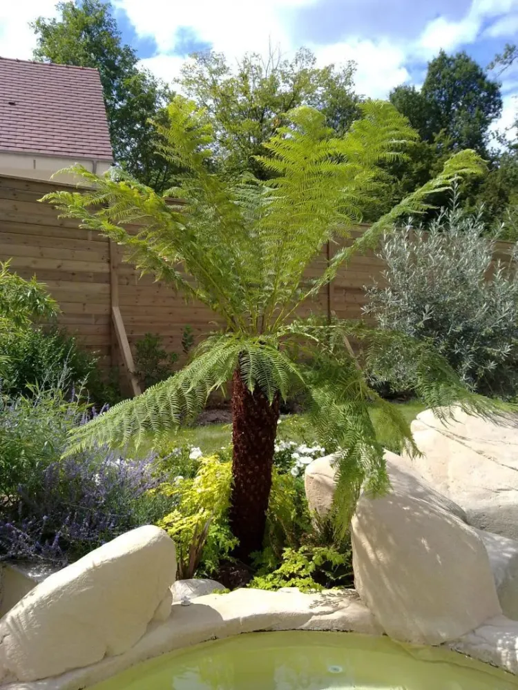 Entretien de jardin à Etampes