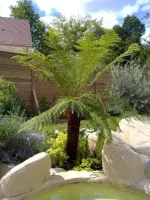 Entretien de jardin