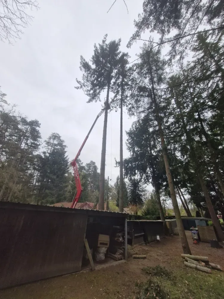 nacelle (1)